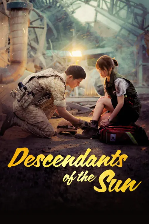 Download Descendants Of The Sun (Season 1) Dual Audio {Hindi Korean} ZEE5 WEB DL Series 720p | 1080p 9 descendants of the sun season 1