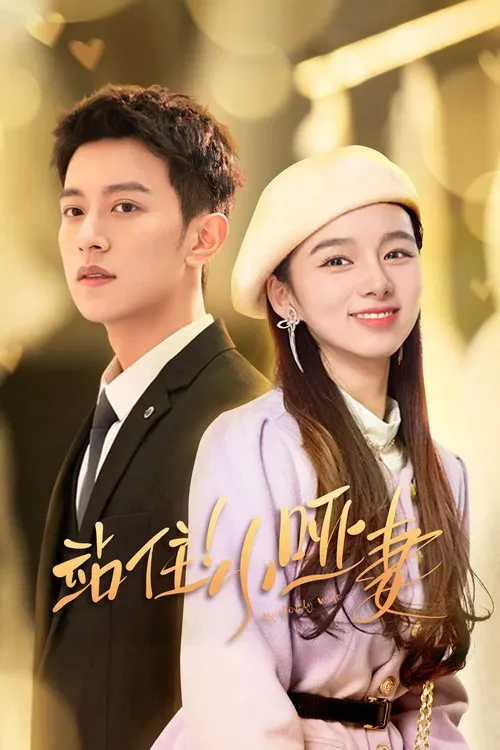 Download My Lovely Wife (Season 1) Hindi ORG Dubbed C Drama Series 480p 720p & 1080p WEB DL 17 my lovely wife season 1