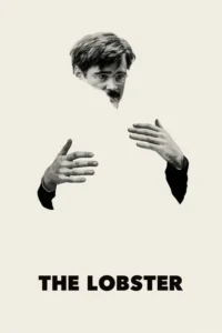 the lobster 2015