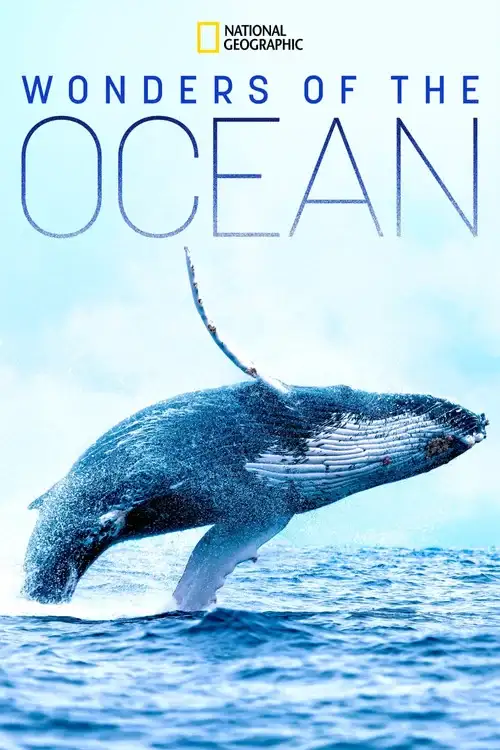 Download Wonders of the Ocean (2021) Season 1 Hindi Complete DSNP WEB Series 480p | 720p HDRip 15 wonders of the ocean 2021